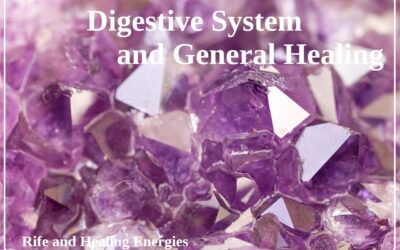 Digestive System & General Healing Package (Rife, Energies)