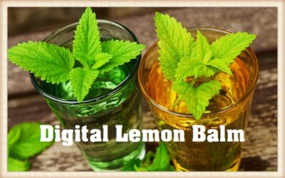 Digital Lemon Balm (Melissa officinalis – L.)